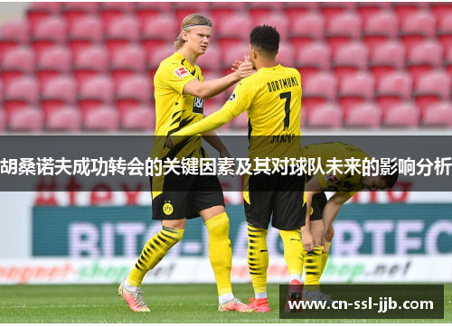 胡桑诺夫成功转会的关键因素及其对球队未来的影响分析