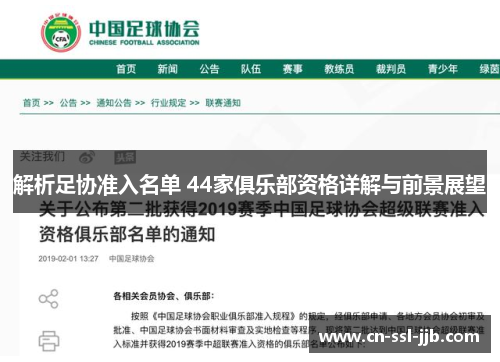 解析足协准入名单 44家俱乐部资格详解与前景展望