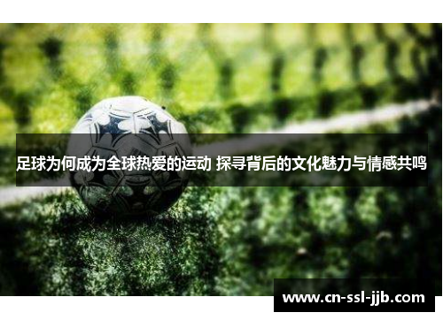 足球为何成为全球热爱的运动 探寻背后的文化魅力与情感共鸣