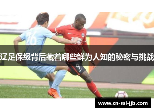 辽足保级背后藏着哪些鲜为人知的秘密与挑战 辽足保级背后藏着哪些鲜为人知的秘密与挑战